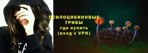 не бодяженный Михайлов