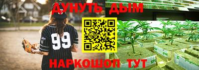 шишки Берёзовский