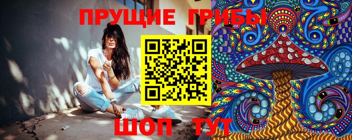 Псилоцибиновые грибы Cubensis  Вход с VPN  Благодарный 